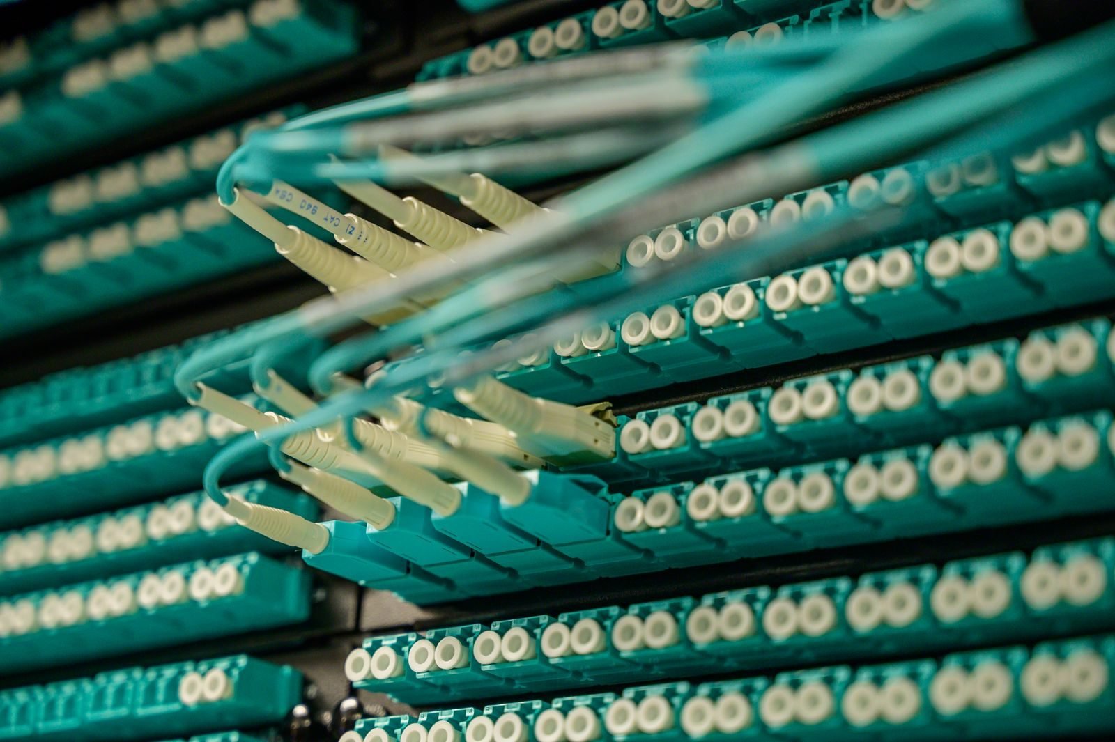 Professional network cabling and infrastructure powering a small business UniFi system